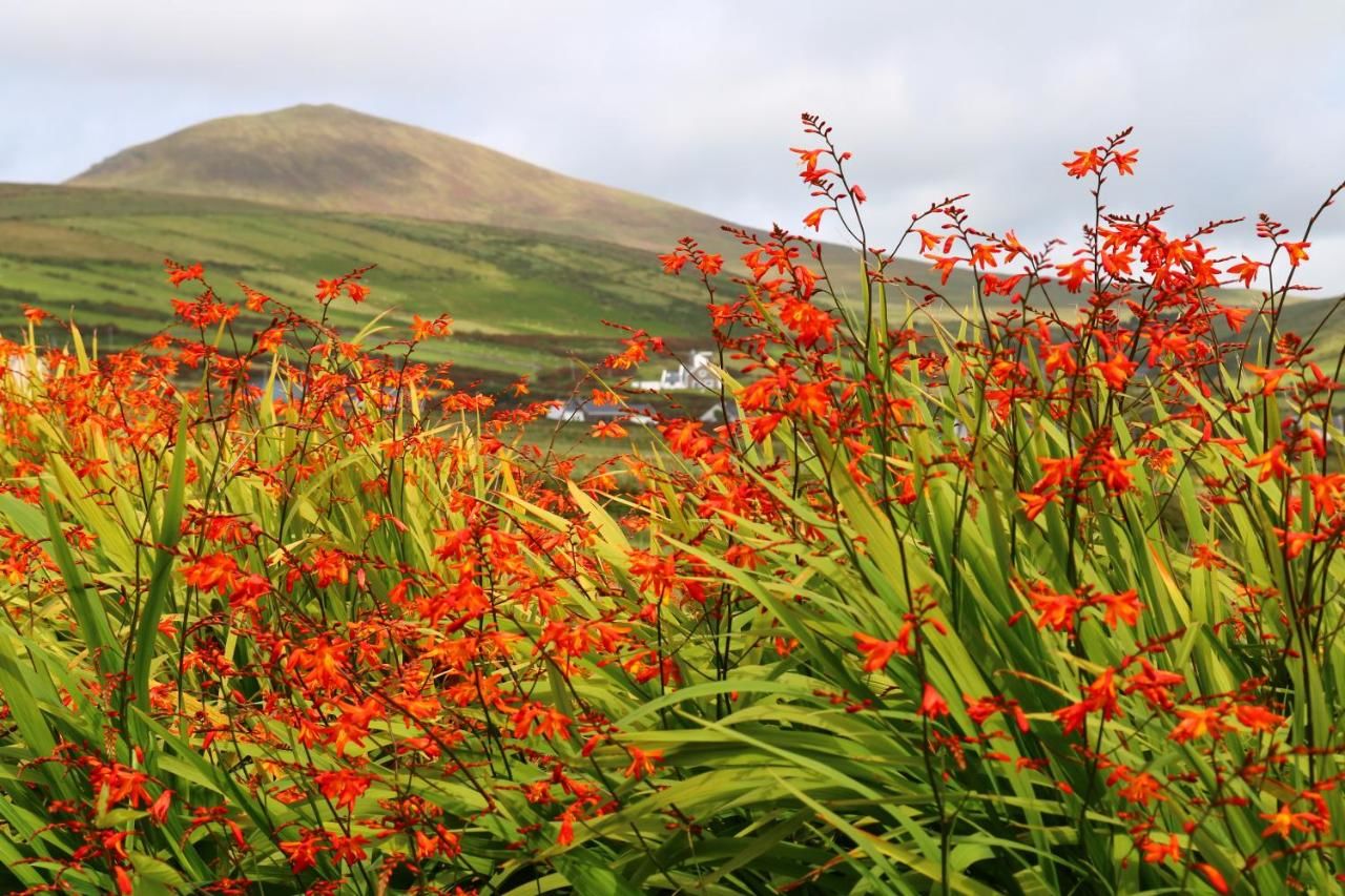 Гостевой дом An Portán Guest House and Restaurant Dunquin-13