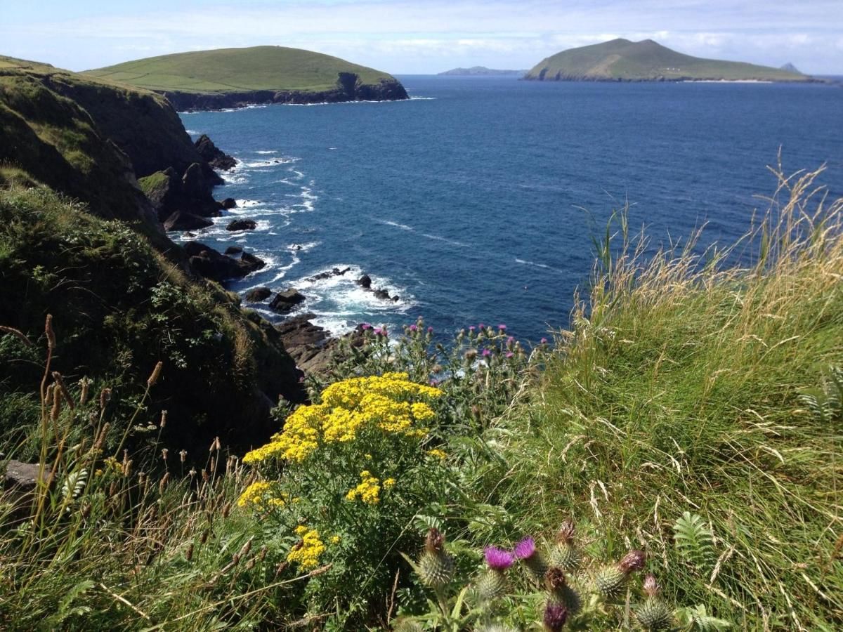 Гостевой дом An Portán Guest House and Restaurant Dunquin-44